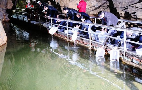 The 7th Giant Salamander Artificial Release Activity Started in Huanglong Hole