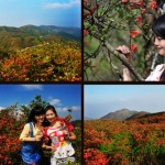 hunan Mount Dawei Park 10