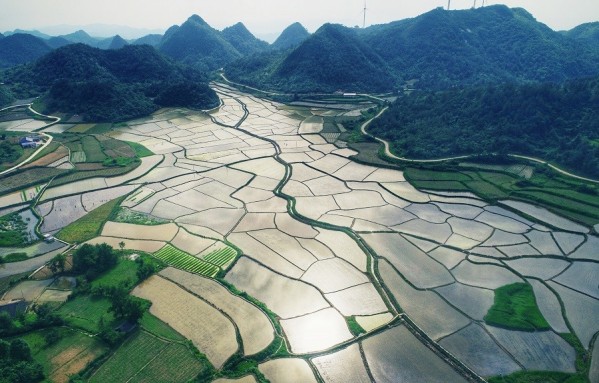 Picturesque Paddy Fields Seen in Xiangxi Yongshun