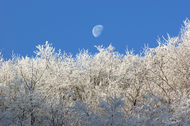 Zhangjiajie Tianzishan snow filled Christmas