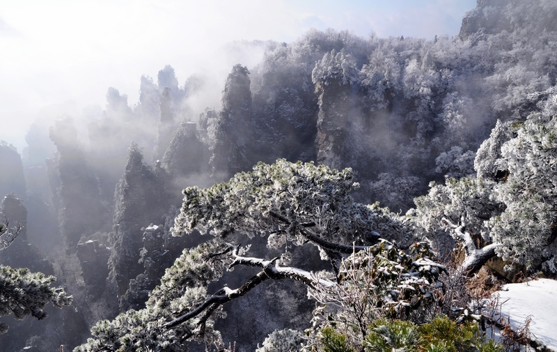 New Year began in 2011, Zhangjiajie first snowfall