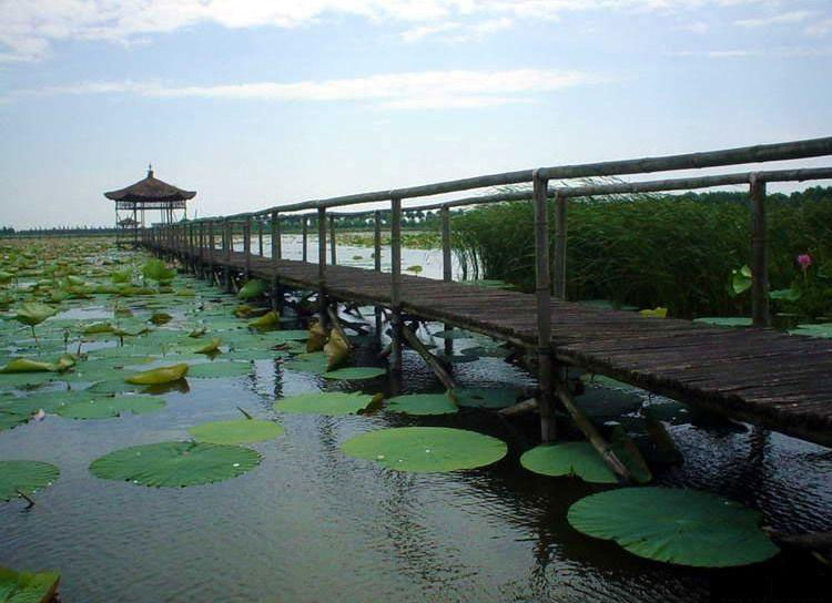 Changde Xidongting Wetland