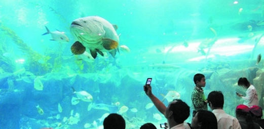 China's First Comprehensive Food Culture Museum Approved