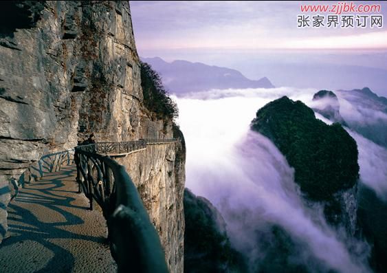 Tianmenshan Plank Road