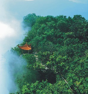 Tianmenshan Garden in the air