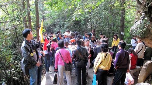 2011 Wulingyuan tourist reception to create a record high