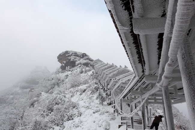 Zhangjiajie Wuleishan Scenic Area's Snow Pictures
