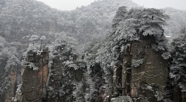 Zhangjiajie Spring snow is the most fascinating