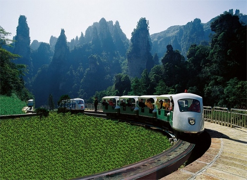 1 Killed, 17 Injured in Road Accident in zhangjiajie