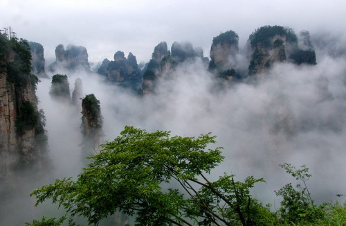 Zhangjiajie March Spring drunk woke up the rain visitors