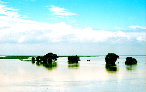 South Dongting Lake Wetland