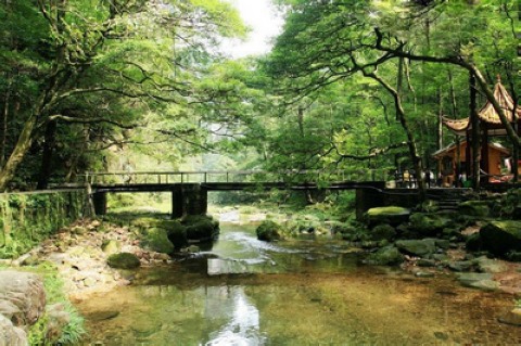 Four Fantastic Scenes of Zhangjiajie