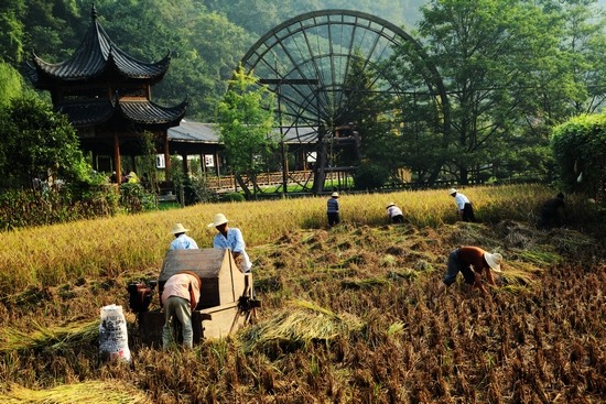 Rural Picturesque Autumn Scenery in Wulingyuan Huanglongdong