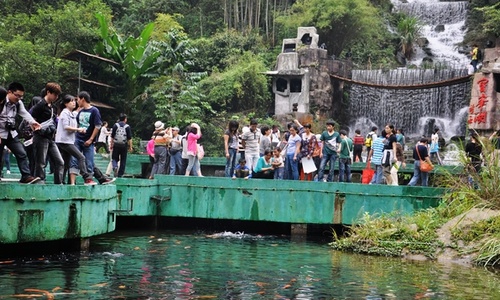 Fully display the charm of Wulingyuan Unique Tourism