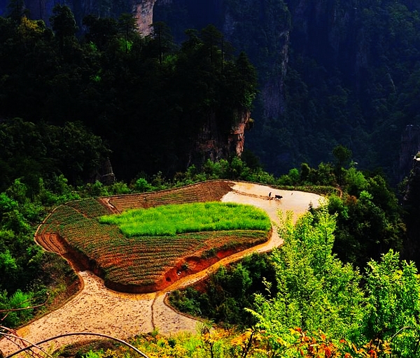 6 Days tour to Yichang-Zhangjiajie-Fenghuang-Sanjiang-Longshen-Guilin