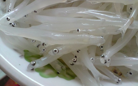 Zhangjiajie Cili Silver Fish