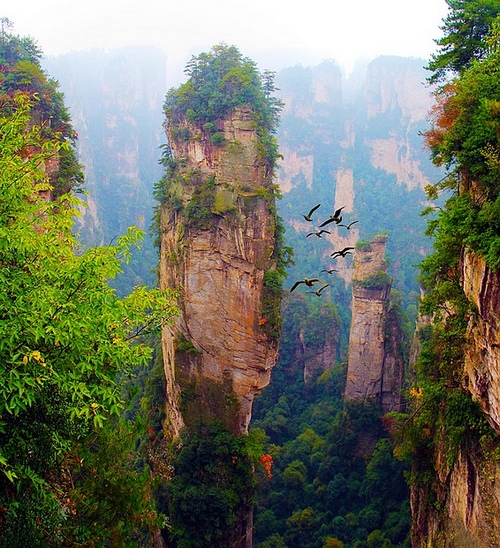 Zhangjiajie tourist’s “Ten Big Fear”