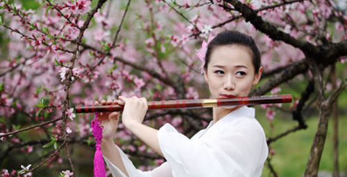 Enjoy Peach Blossom Feast in Hunan Zixing