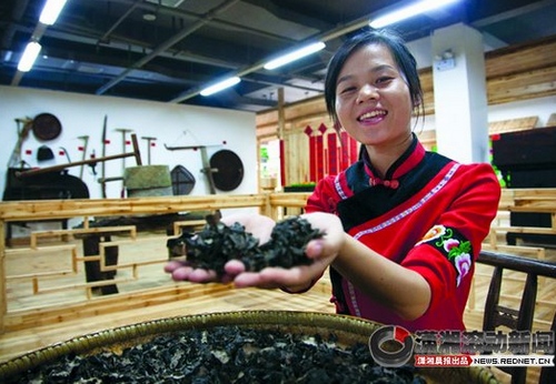 Rock agaric-A treasure in Zhangjiajie (CHAPTER 1)
