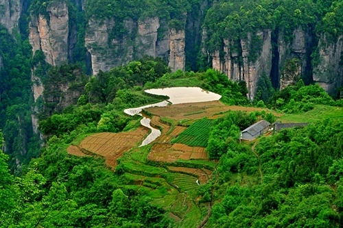 How to make a choice for travel agency in Zhangjiajie