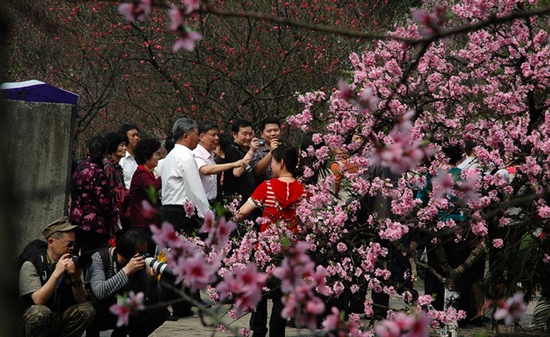 A City in the Peach Garden-Changde