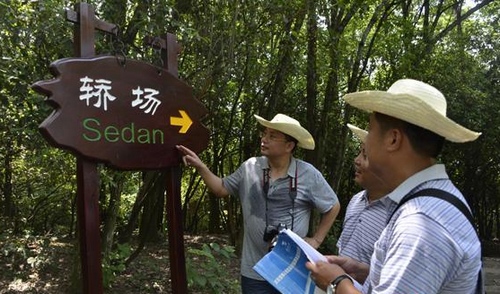 Scutcheons in Wulingyuan Core Scenic Spots “Changed New Faces”