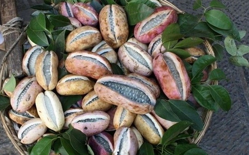 Zhangjiajie august fried melon