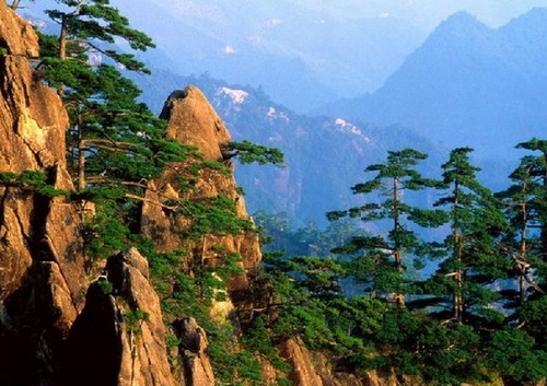 Hairdressing Knowledge of Tourism