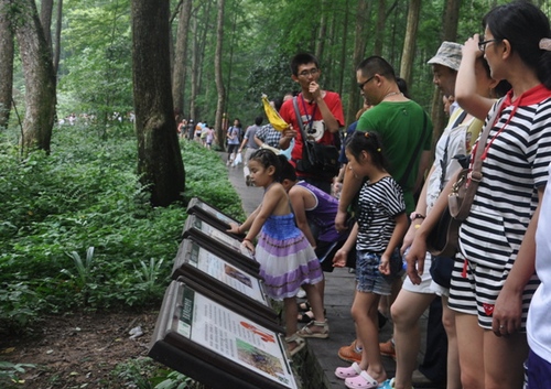 Zhangjiajie Asks Beautiful Articles from the Global Students