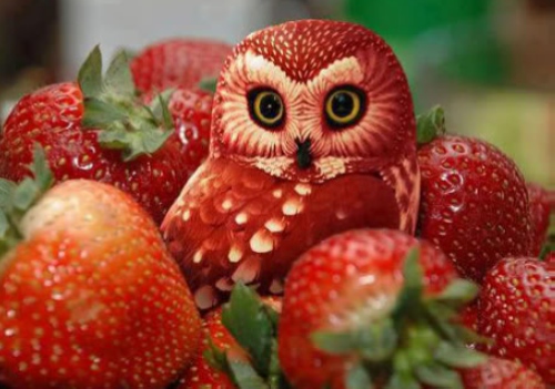Fruit Art in the daily life