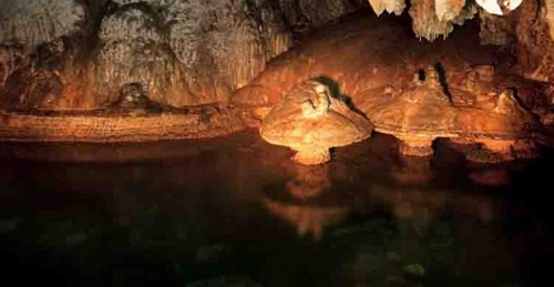 Fenghuang Ganoderma Lucidum Valley