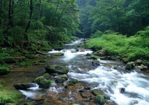 Six Themed Activities Add Luster to 2013 ZJJ International Country Music Week