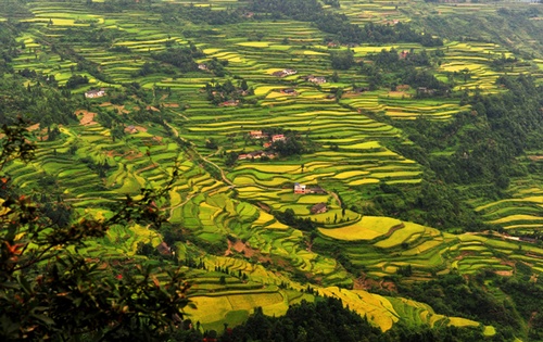 Yongding Longfeng Terrace