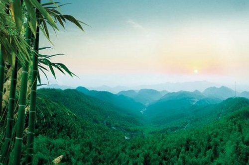 Leiyang Cailun Bamboo Forest