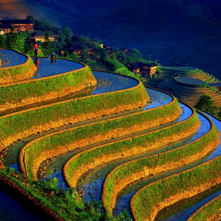 Ziquejie Terrace Heritage Protection Seminar Kicks off in Xinhua