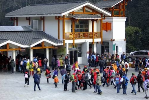 ZJJ National Forest Park Ushers Peak of Footfall During Ticket Free Week