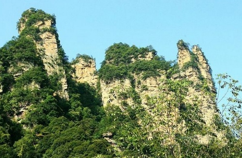 Zhangjiajie Monkey Slope