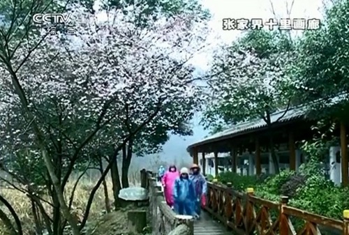 A Commute Flight from Changsha to ZJJ is to be run per day since March 30