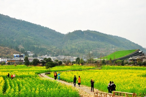 A Bright and Beautiful Spring with Blooming Flowers went into Zhangjiajie