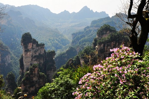 Southern Airline will offer more flights from ZJJ to Taiyuan to Yinchuan