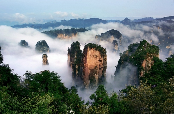 ZJJ National Forest Park Wants to Be Youth Olympic Games Reception Area