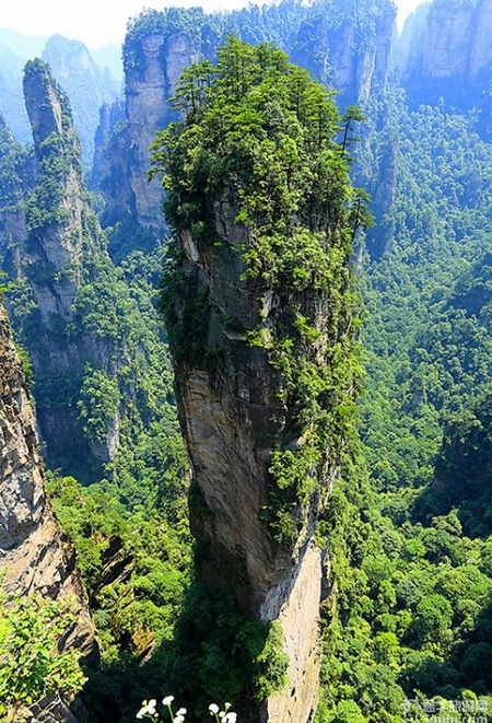 8D7N Group Tour-Zhangjiajie Avatar Yuanjiajie-Tianmenshan-Fenghuang