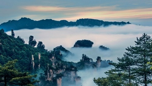 ZJJ Wulingyuan Has Half-price Discount During the off-season