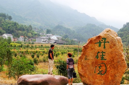 ZJJ Omanthus Garden—A Bright Spot of Eco-tourism Development