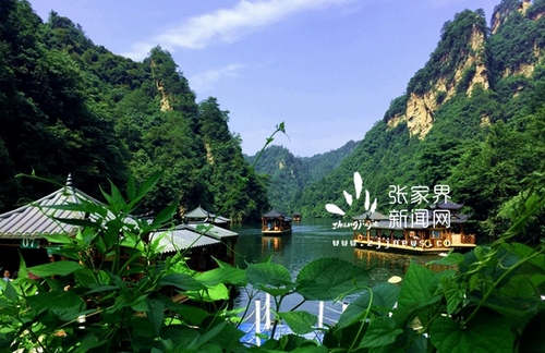 Hunan Promotes Anhua Dark Tea to Mongolia and Russia