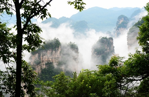 ZJJ Wulingyuan Early Autumn Clouds attracted Many Visitors