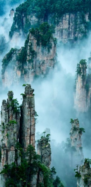 “ZJJ Landforms” gained Bronze Award in the 17th Session of Exhibition