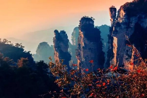 Zhangjiajie Oil Painting Scenery in Autumn tour