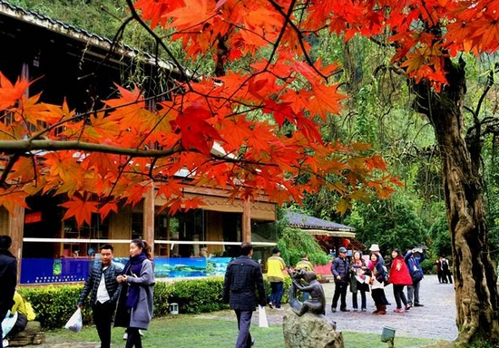ZJJ Huanglong hole square has Picturesque and Drunken winter scenery