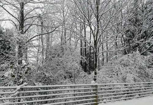 Zhangjiajie Core Scenic Spot welcomes the first winter snow